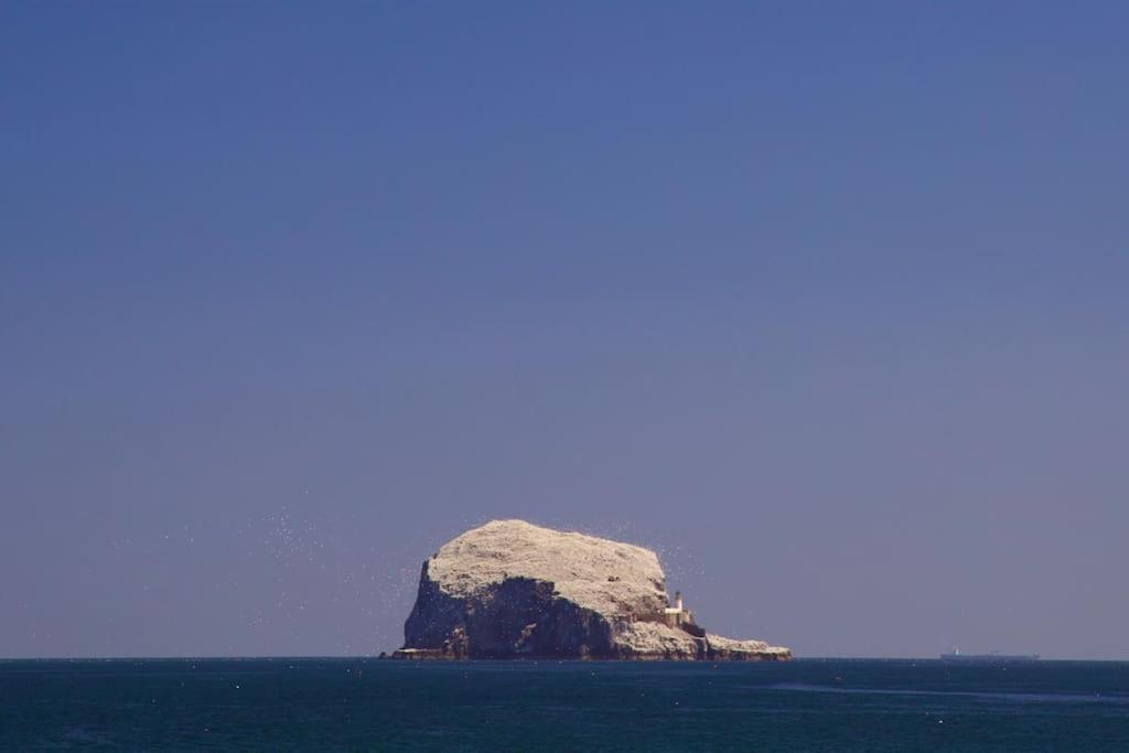 Auldhame House East Wing, Seacliff Διαμέρισμα North Berwick Εξωτερικό φωτογραφία